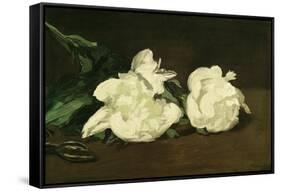 Branch of White Peonies and Secateurs, 1864-Edouard Manet-Framed Stretched Canvas