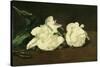 Branch of White Peonies and Secateurs, 1864-Edouard Manet-Stretched Canvas