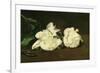 Branch of White Peonies and Secateurs, 1864-Edouard Manet-Framed Premium Giclee Print