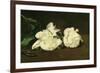 Branch of White Peonies and Secateurs, 1864-Edouard Manet-Framed Premium Giclee Print