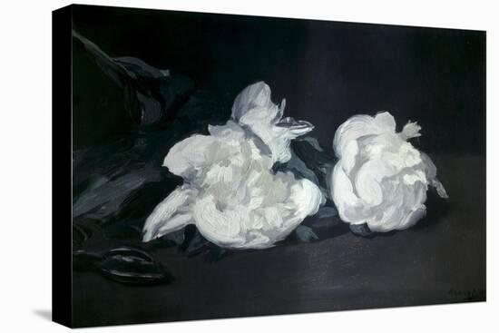 Branch of White Peonies and Secateurs-Edouard Manet-Stretched Canvas