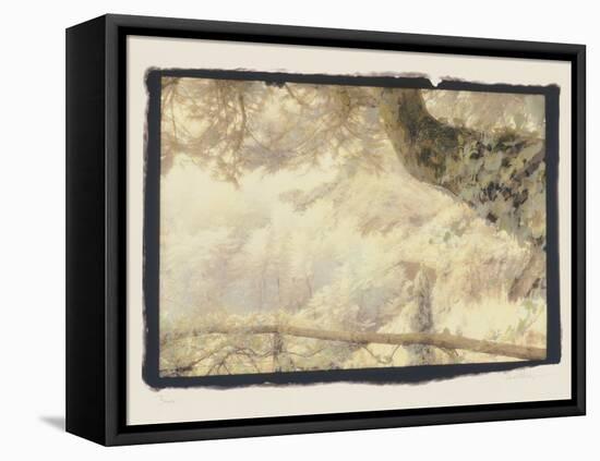 Branch, Positano-Theo Westenberger-Framed Stretched Canvas