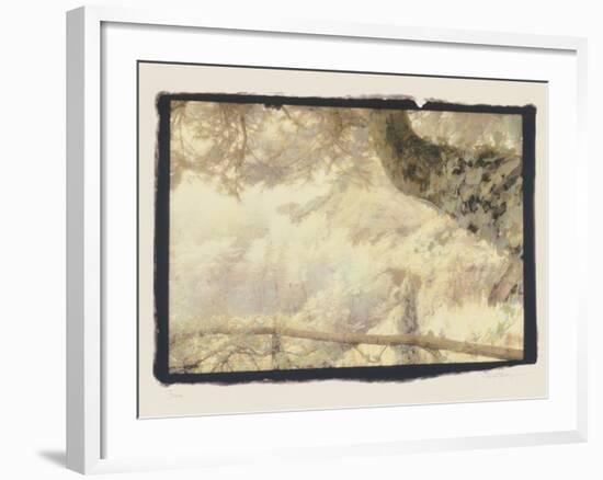 Branch, Positano-Theo Westenberger-Framed Photographic Print