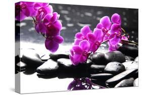 Branch Purple Orchid Flower With Therapy Stones-crystalfoto-Stretched Canvas