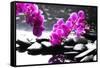 Branch Purple Orchid Flower With Therapy Stones-crystalfoto-Framed Stretched Canvas