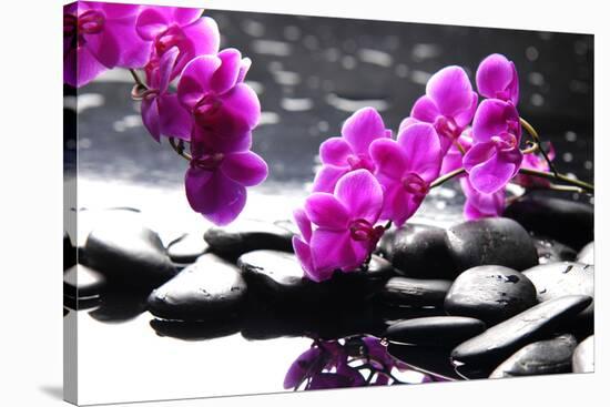 Branch Purple Orchid Flower With Therapy Stones-crystalfoto-Stretched Canvas