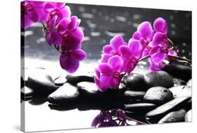 Branch Purple Orchid Flower With Therapy Stones-crystalfoto-Stretched Canvas