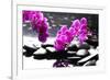 Branch Purple Orchid Flower With Therapy Stones-crystalfoto-Framed Premium Photographic Print