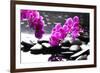 Branch Purple Orchid Flower With Therapy Stones-crystalfoto-Framed Premium Photographic Print