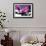 Branch Purple Orchid Flower With Therapy Stones-crystalfoto-Framed Premium Photographic Print displayed on a wall