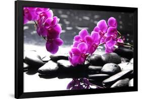 Branch Purple Orchid Flower With Therapy Stones-crystalfoto-Framed Premium Photographic Print