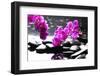 Branch Purple Orchid Flower With Therapy Stones-crystalfoto-Framed Premium Photographic Print