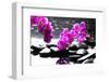 Branch Purple Orchid Flower With Therapy Stones-crystalfoto-Framed Premium Photographic Print