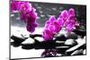 Branch Purple Orchid Flower With Therapy Stones-crystalfoto-Mounted Premium Photographic Print