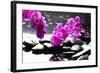 Branch Purple Orchid Flower With Therapy Stones-crystalfoto-Framed Photographic Print