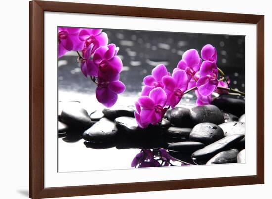 Branch Purple Orchid Flower With Therapy Stones-crystalfoto-Framed Photographic Print