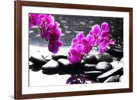 Branch Purple Orchid Flower With Therapy Stones-crystalfoto-Framed Photographic Print