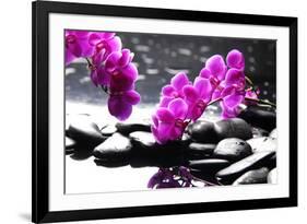 Branch Purple Orchid Flower With Therapy Stones-crystalfoto-Framed Photographic Print