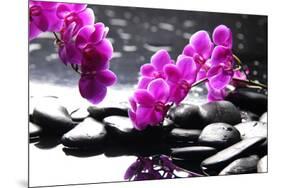 Branch Purple Orchid Flower With Therapy Stones-crystalfoto-Mounted Photographic Print