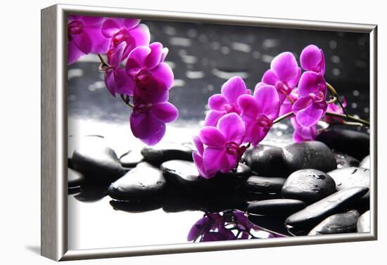 Branch Purple Orchid Flower With Therapy Stones-crystalfoto-Framed Photographic Print