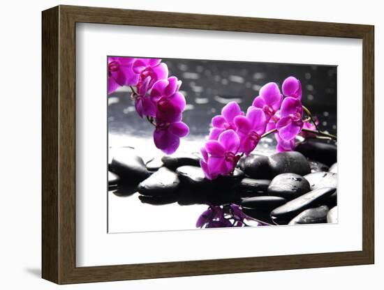 Branch Purple Orchid Flower With Therapy Stones-crystalfoto-Framed Photographic Print