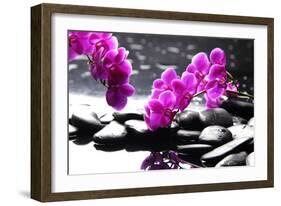 Branch Purple Orchid Flower With Therapy Stones-crystalfoto-Framed Photographic Print