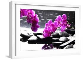 Branch Purple Orchid Flower With Therapy Stones-crystalfoto-Framed Photographic Print