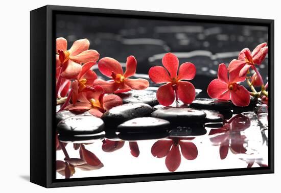 Branch Red Orchid with Zen Stones Reflection-crystalfoto-Framed Stretched Canvas