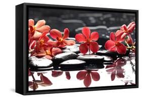 Branch Red Orchid with Zen Stones Reflection-crystalfoto-Framed Stretched Canvas