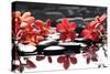 Branch Red Orchid with Zen Stones Reflection-crystalfoto-Stretched Canvas