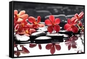 Branch Red Orchid with Zen Stones Reflection-crystalfoto-Framed Stretched Canvas