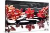 Branch Red Orchid with Zen Stones Reflection-crystalfoto-Stretched Canvas