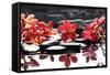 Branch Red Orchid with Zen Stones Reflection-crystalfoto-Framed Stretched Canvas