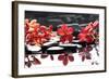 Branch Red Orchid with Zen Stones Reflection-crystalfoto-Framed Photographic Print