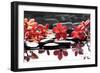 Branch Red Orchid with Zen Stones Reflection-crystalfoto-Framed Photographic Print