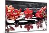 Branch Red Orchid with Zen Stones Reflection-crystalfoto-Mounted Photographic Print