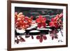Branch Red Orchid with Zen Stones Reflection-crystalfoto-Framed Photographic Print