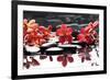 Branch Red Orchid with Zen Stones Reflection-crystalfoto-Framed Photographic Print