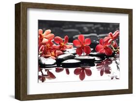 Branch Red Orchid with Zen Stones Reflection-crystalfoto-Framed Photographic Print