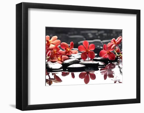 Branch Red Orchid with Zen Stones Reflection-crystalfoto-Framed Photographic Print