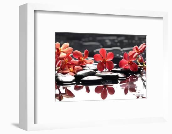 Branch Red Orchid with Zen Stones Reflection-crystalfoto-Framed Photographic Print