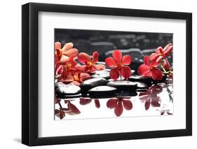 Branch Red Orchid with Zen Stones Reflection-crystalfoto-Framed Photographic Print