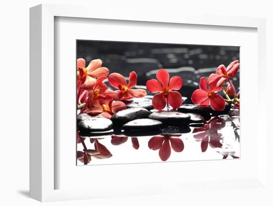 Branch Red Orchid with Zen Stones Reflection-crystalfoto-Framed Photographic Print