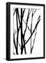 Branch Silhouette III-Monika Burkhart-Framed Photographic Print