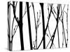 Branch Silhouette V-Monika Burkhart-Stretched Canvas