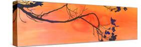 Branch Study-Jackie Battenfield-Stretched Canvas