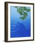 Branch with Green Leaves Suspended Over Deep Blue Water with Rings And Reflection-null-Framed Photographic Print