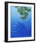Branch with Green Leaves Suspended Over Deep Blue Water with Rings And Reflection-null-Framed Photographic Print