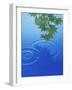 Branch with Green Leaves Suspended Over Deep Blue Water with Rings And Reflection-null-Framed Photographic Print