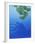 Branch with Green Leaves Suspended Over Deep Blue Water with Rings And Reflection-null-Framed Photographic Print